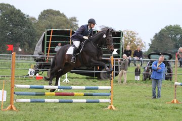 Bild 1456 - WBO-Turnier am 18.9.11